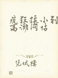 疯狂揉小到失禁高潮网站