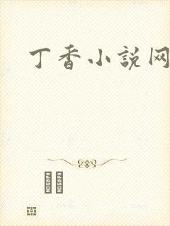 丁香小说网封面