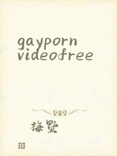 gaypornvideofree