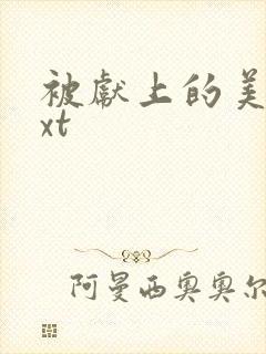 被献上的美人txt