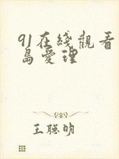 91在线观看希岛爱理