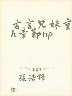 古言兄妹重口高h章节np