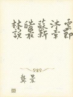 林皓苏沐云的小说最新章节更新情况封面