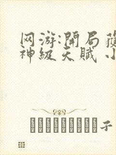 网游:开局获得神级天赋 小说