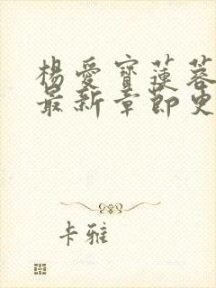 杨爱宝莲蓉小说最新章节更新内容封面