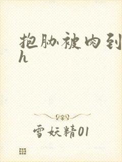 抱胁被肉到失禁h