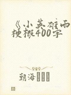 《小英雄雨来》梗概400字封面