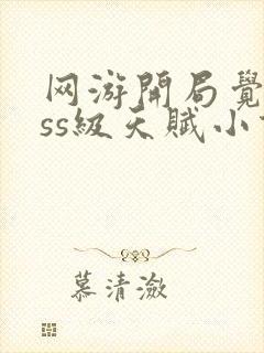 网游开局觉醒sss级天赋小说免费阅读无弹窗封面