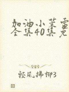 加油小茉电视剧全集40集免费收看