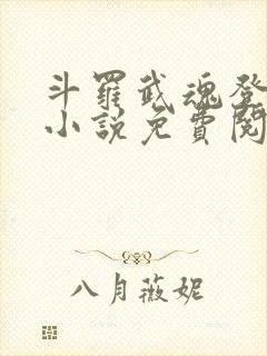 斗罗武魂登龙剑小说免费阅读