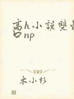 高h小说双性重口np封面