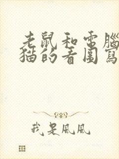 老鼠和电脑里的猫的看图写话封面