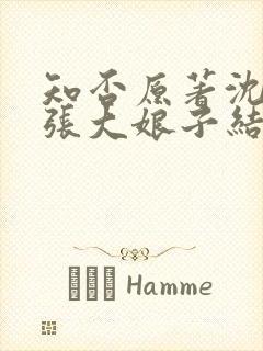 知否原著沈从兴张大娘子结局封面