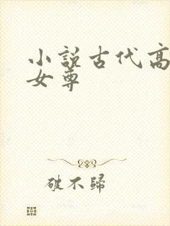 小说古代高h 女尊封面
