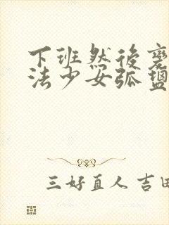 下班然后变成魔法少女弧盐