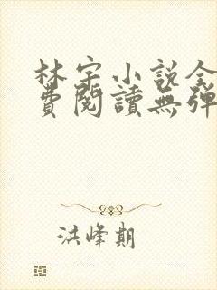 林宇小说全文免费阅读无弹窗