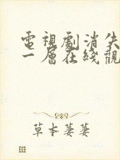 电视剧消失的十一层在线观看免费封面