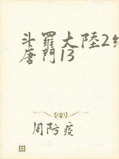 斗罗大陆2绝世唐门13封面