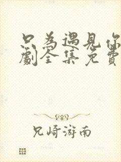 只为遇见你电视剧全集免费