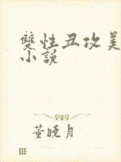 双性丑攻美人受小说