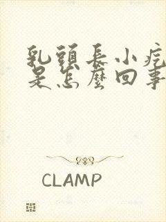 乳头长小疙瘩疼是怎么回事