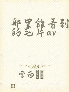 哪里能看到免费的毛片av