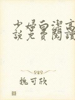 少妇白洁高义小说免费阅读封面