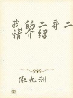 我的二哥二嫂剧情介绍