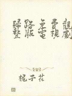 归路免费观看完整版电视剧高清