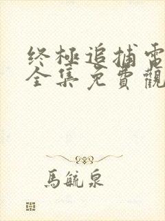 终极追捕电视剧全集免费观看封面