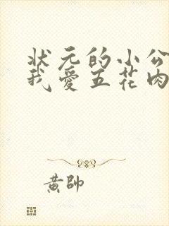 状元的小公主(我爱五花肉)封面