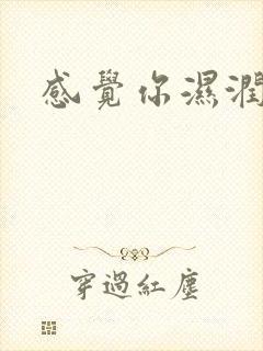 感觉你湿润我封面