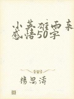 小英雄雨来阅读感悟50字