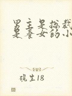 男主是总裁女主是养女的小说