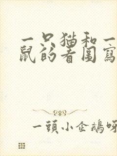 一只猫和一只老鼠的看图写话