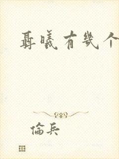 聂曦有几个孩子