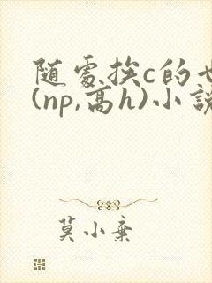 随处挨c的世界(np,高h)小说女