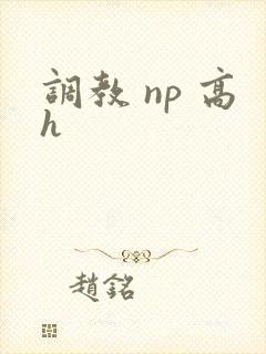 调教 np 高h