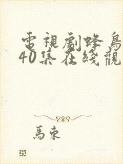 电视剧蜂鸟1至40集在线观看