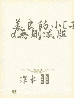 善良的小[子hd无删减版封面