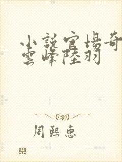 小说官场奇才刘云峰陆羽封面