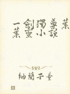 一剑独尊叶玄,叶灵小说