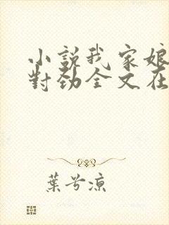 小说我家娘子不对劲全文在线阅读