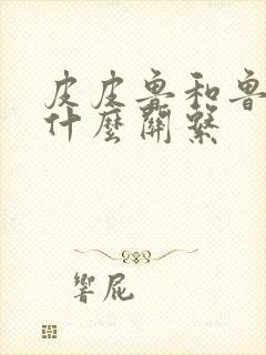 皮皮鲁和鲁西西什么关系封面