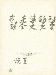 我老婆的秘密小说全文免费阅读