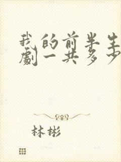 我的前半生电视剧一共多少集