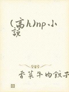 (高h)np小说