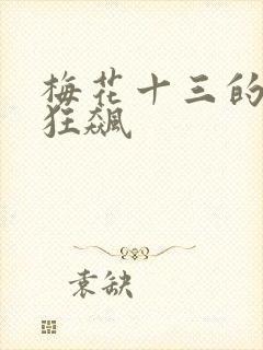 梅花十三的乳液狂飙封面