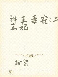 神王毒宠:二嫁王妃
