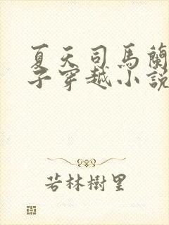 夏天司马兰九皇子穿越小说笔趣阁